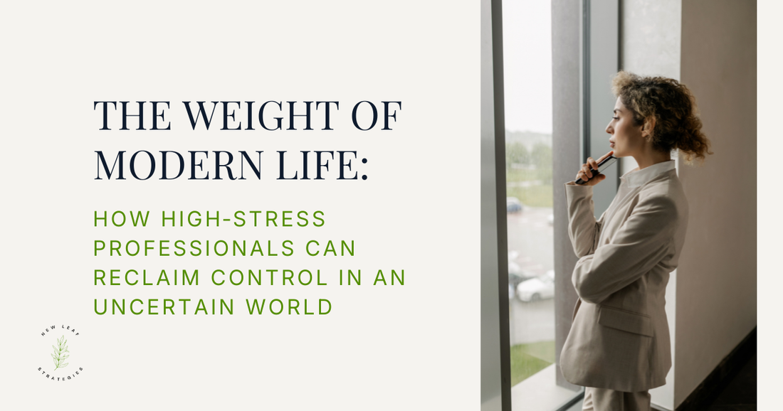 The Weight of Modern Life: How High‑Stress Professionals Can Reclaim Control in an Uncertain World