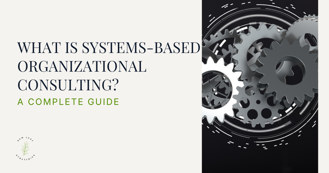 What Is Systems-Based Organizational Consulting? A Complete Guide