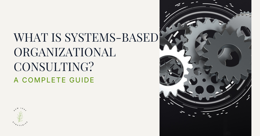 What Is Systems-Based Organizational Consulting? A Complete Guide